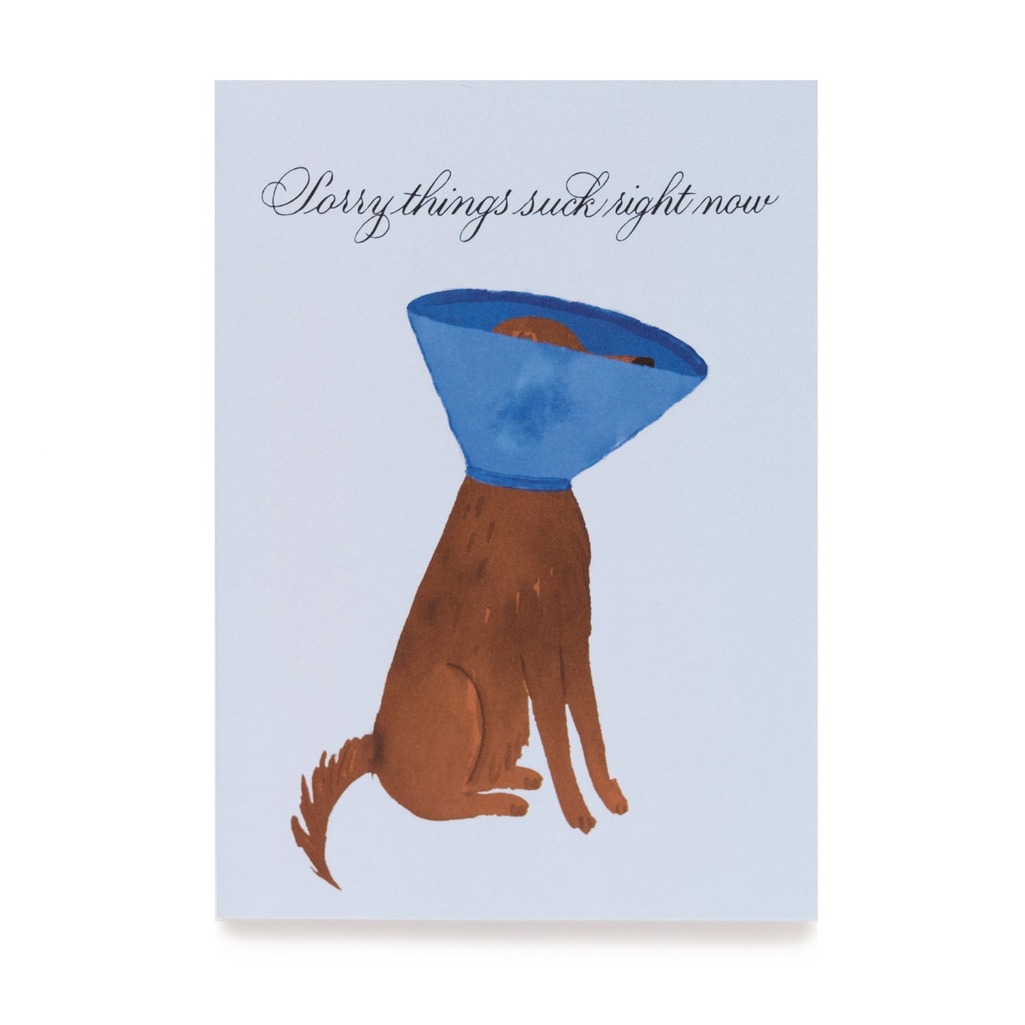 Sorry things suck right now card