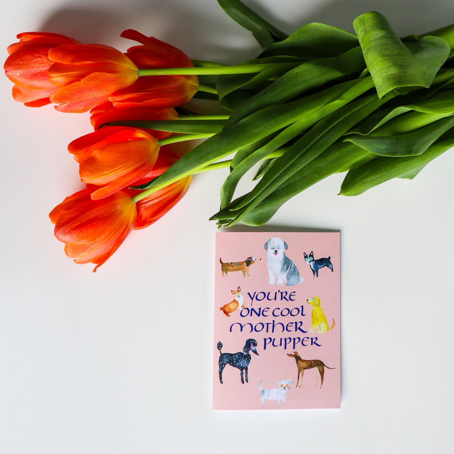 Cool Mother Pupper card