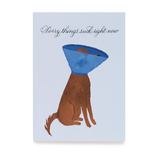 Sorry things suck right now card
